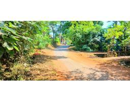 Dijual Tanah 1462 m2 Dekat Jl Ida Bagus Mantra Keramas Blahbatuh - Gianyar Bali