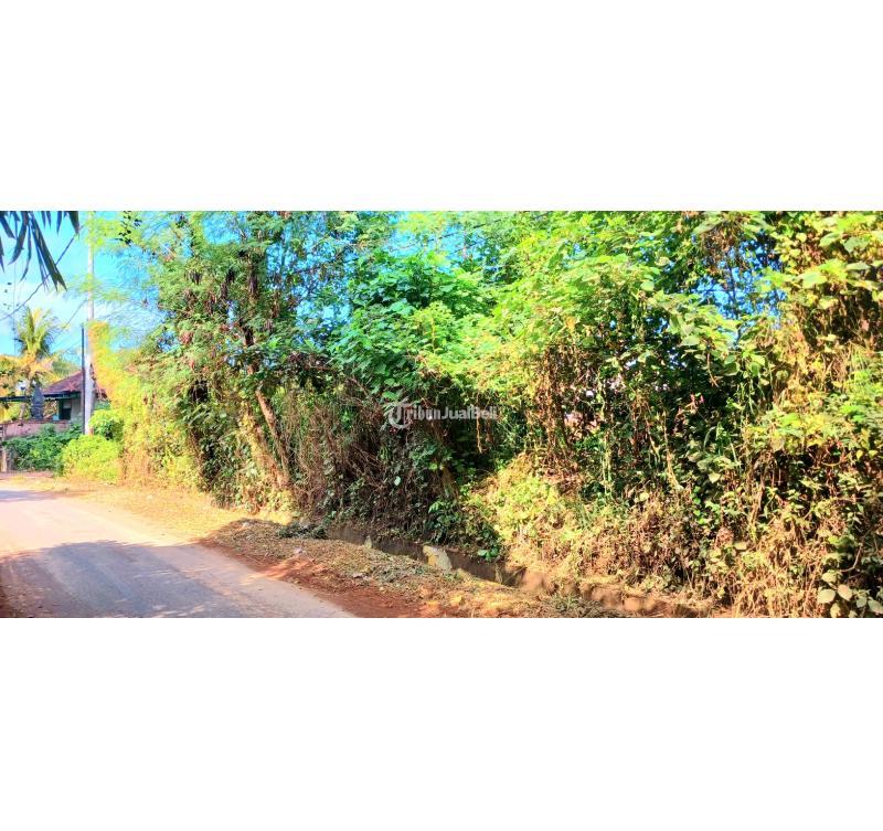 Dijual Tanah 1462 m2 Dekat Jl Ida Bagus Mantra Keramas Blahbatuh - Gianyar Bali