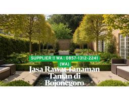 Jasa Rawat Tanaman Taman - Bojonegoro