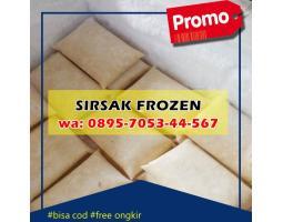 Agen Sirsak Beku di Canggu - Badung