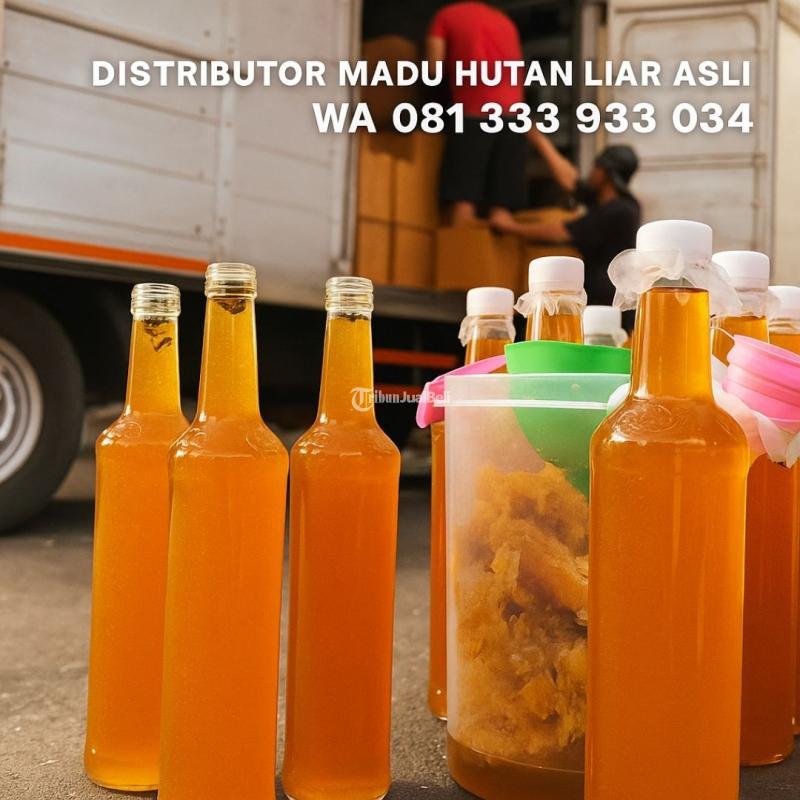 Madu Hutan Liar Asli - Sidoarjo