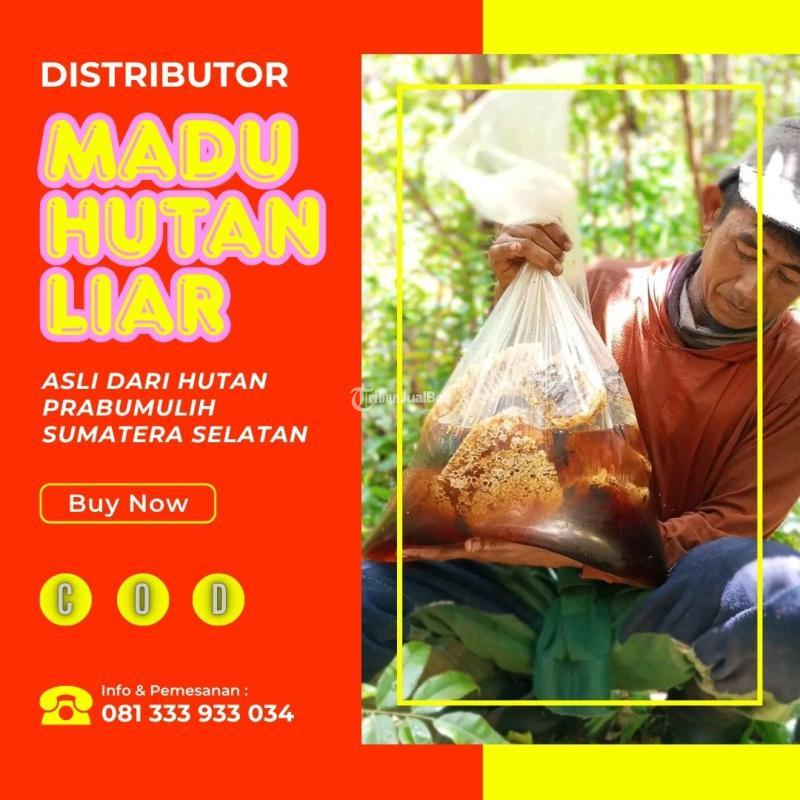 Madu Hutan Liar Asli - Sidoarjo