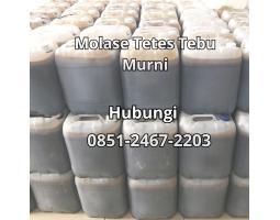 Molase Tetes Tebu Untuk Tanaman - Jakarta Pusat