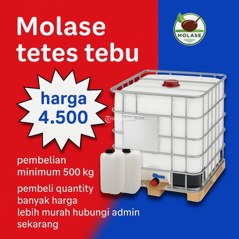 Molase Tetes Tebu Untuk Sapi - Bogor 