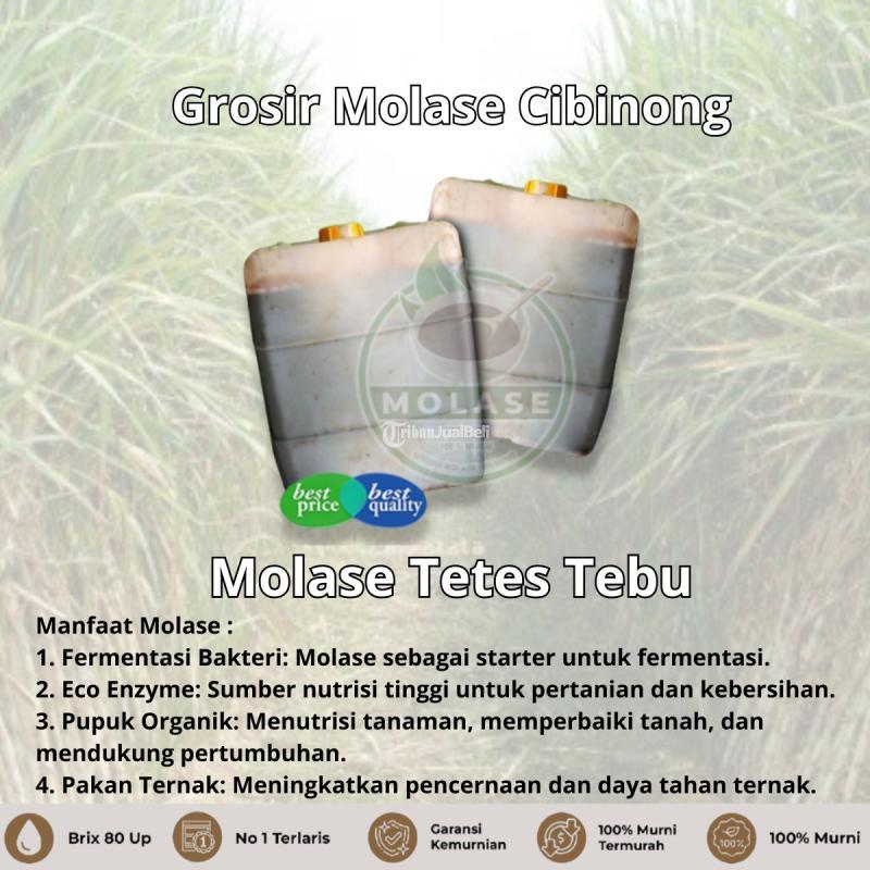 Tetes Tebu untuk Tanaman Padi - Bogor