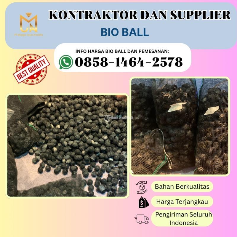 Media Bio Ball Filter Kolam IPAL di Bali - Buleleng
