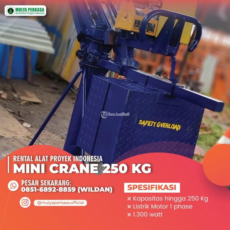 Sewa Mini Crane 250 Kg - Denpasar 