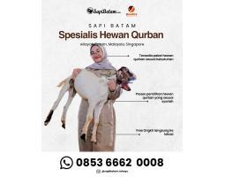Supplier Hewan Qurban 2026, Rahayu Sapi - Batam
