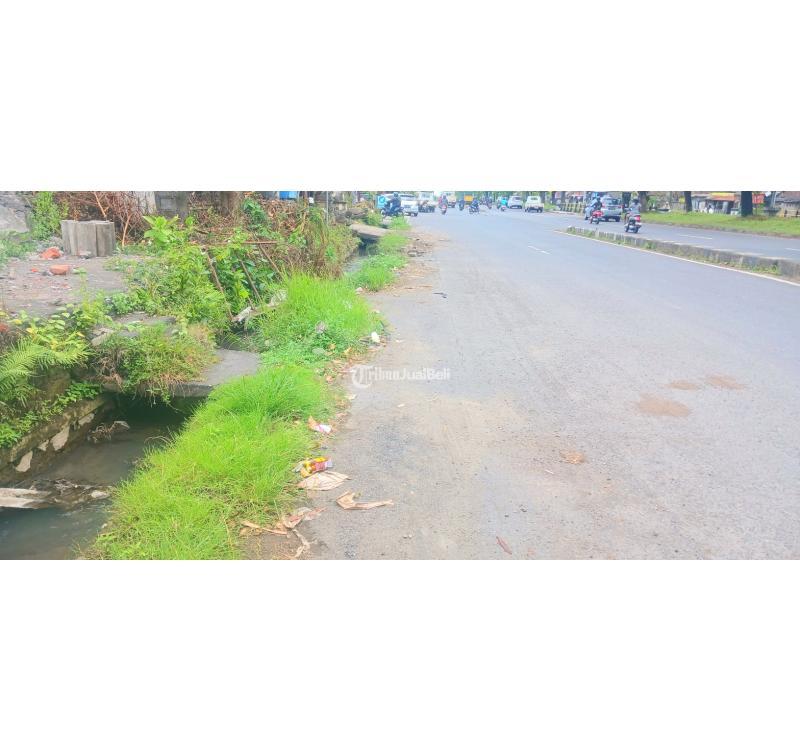 Dijual Tanah 13 Are Jl Ida Bagus Mantra Ketewel - Gianyar