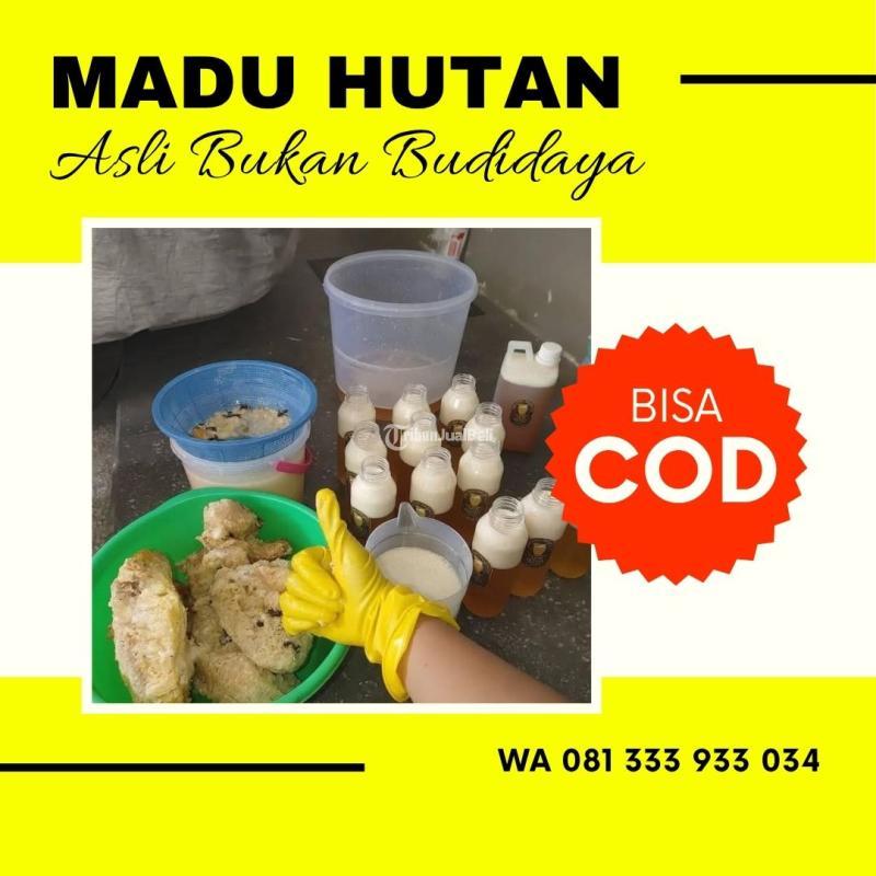 Madu Hutan Liar Asli - Sidoarjo