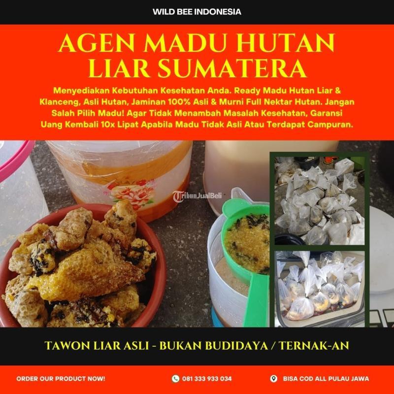 Madu Hutan Liar Asli - Sidoarjo