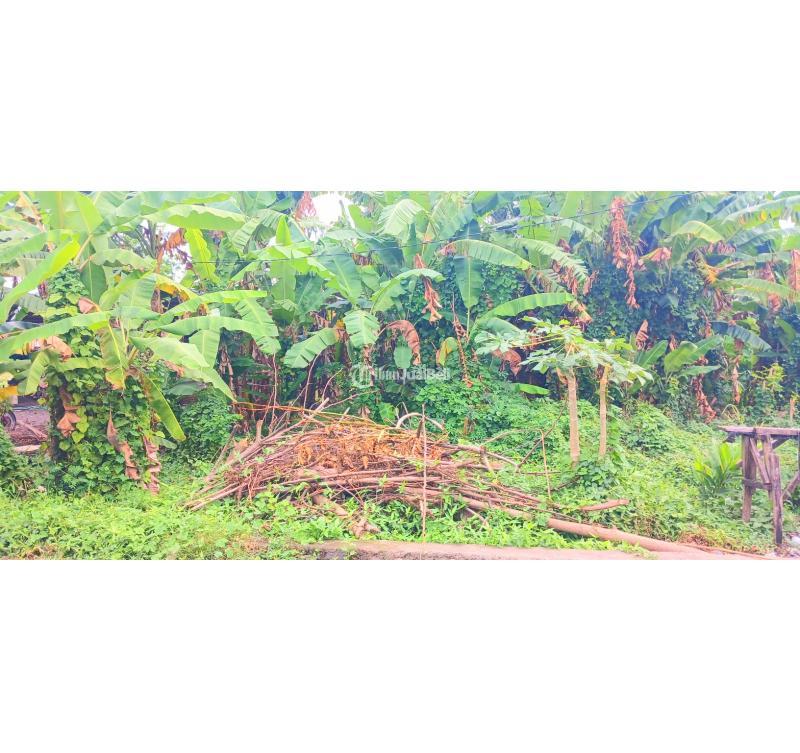 Dijual Tanah 3200 m2 Jl Ida Bagus Mantra Dekat By Pass Ngurah Rai Sanur Bali - Denpasar