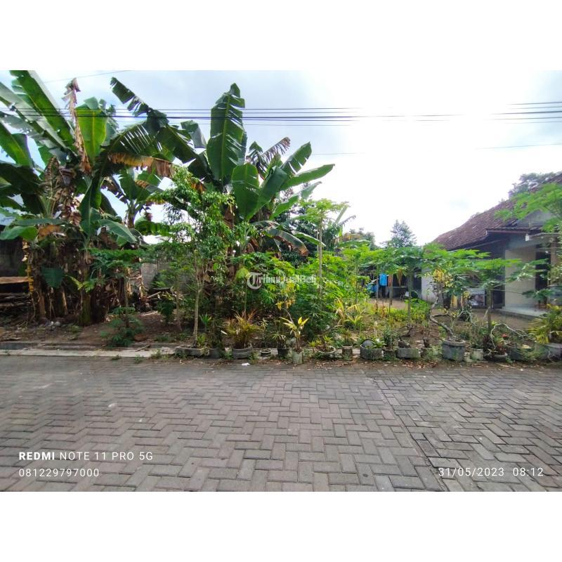 Jual Tanah Luas 196 m2 Harga Termurah Di Jalan Palagan Km 7,5 - Sleman