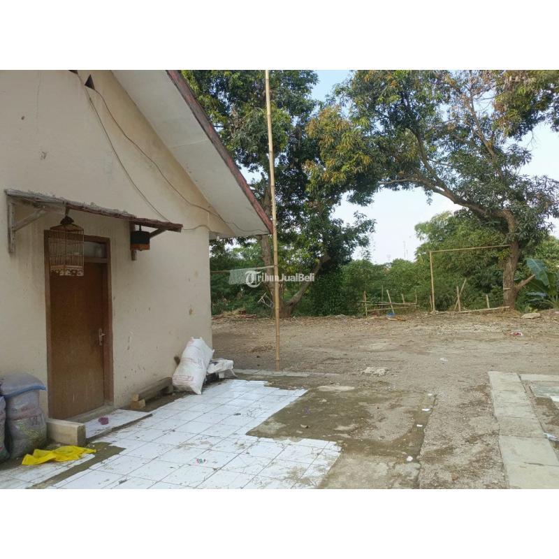 Dijual Tanah Kavling di Gg Mayor Kosim Pasar Rebo Sindangkasih - Purwakarta