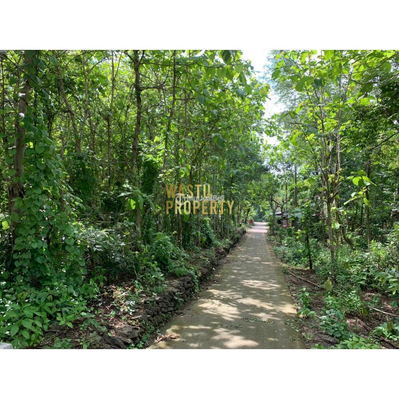 Dijual Tanah Siap Bangun Legalitas SHGB Dekat Puskesmas Pajang - Bantul 