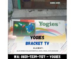 Bracket Tv 30 Inch - Banda Aceh