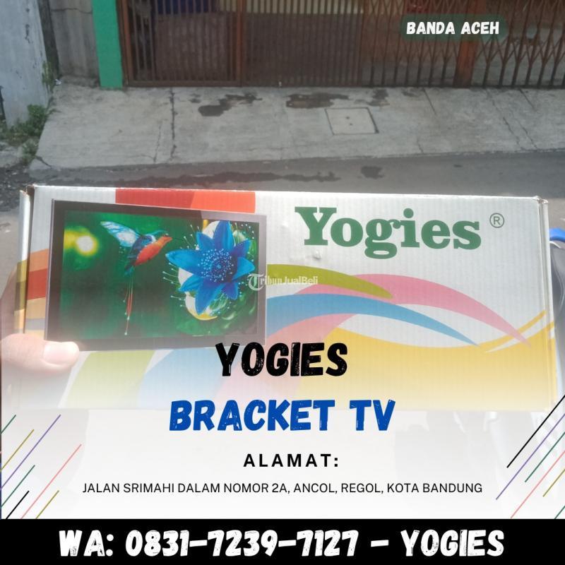 Bracket Tv 30 Inch - Banda Aceh
