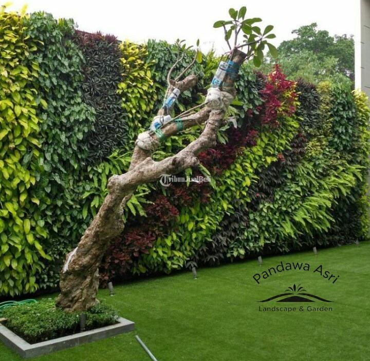 Jasa Vertical Garden - Madiun