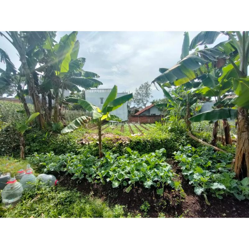 Dijual Tanah Luas 250m2 SHM Di Katumiri Parongpong - Bandung Barat