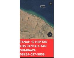 Jual Tanah Los Pantai 12 Hekatar Utan - Sumbawa 