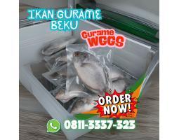 Supplier Distributor Ikan Gurame Frozen Beku - Surabaya