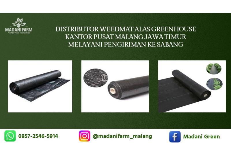 Cuci Gudang Pabrik Pusat Agen Grosir Weedmat - Malang