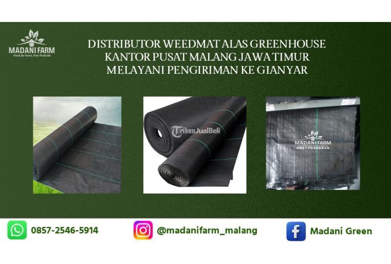  Pusat Agen Grosir Weedmat - Malang 