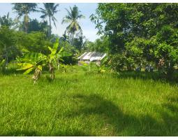 Dijual Tanah Luas 3000m2 SHM Lokasi Beurawe Belakang Rsza - Banda Aceh