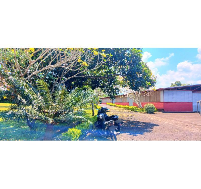 Dijual Gudang Luas Tanah 2 Hektar Jl Denpasar Gilimanuk Negara Bali - Jembrana