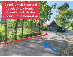 Dijual Tanah Murah Di Wisata Goa Pindul Gunung Kidul Cocok Untuk Usaha - Gunung Kidul