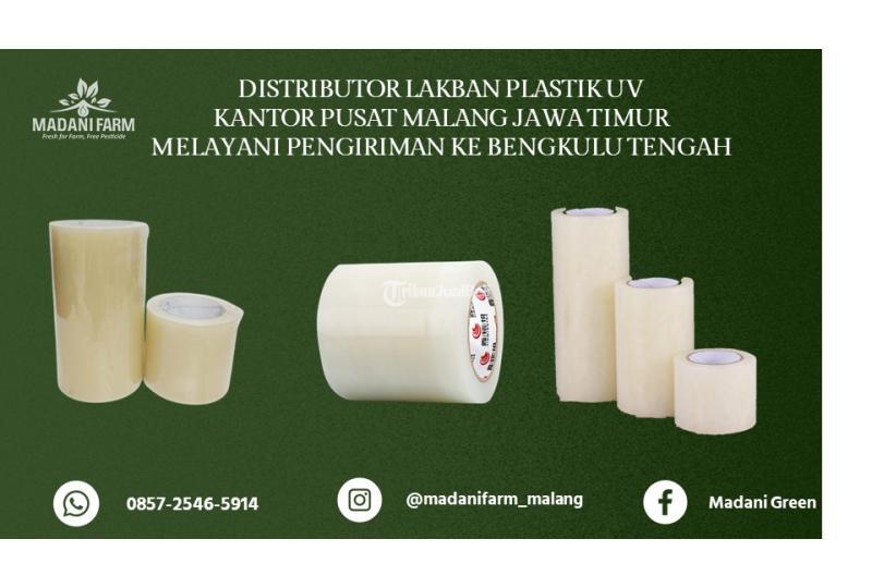 Pabrik Pusat Agen Grosir Lakban UV - Malang Kota