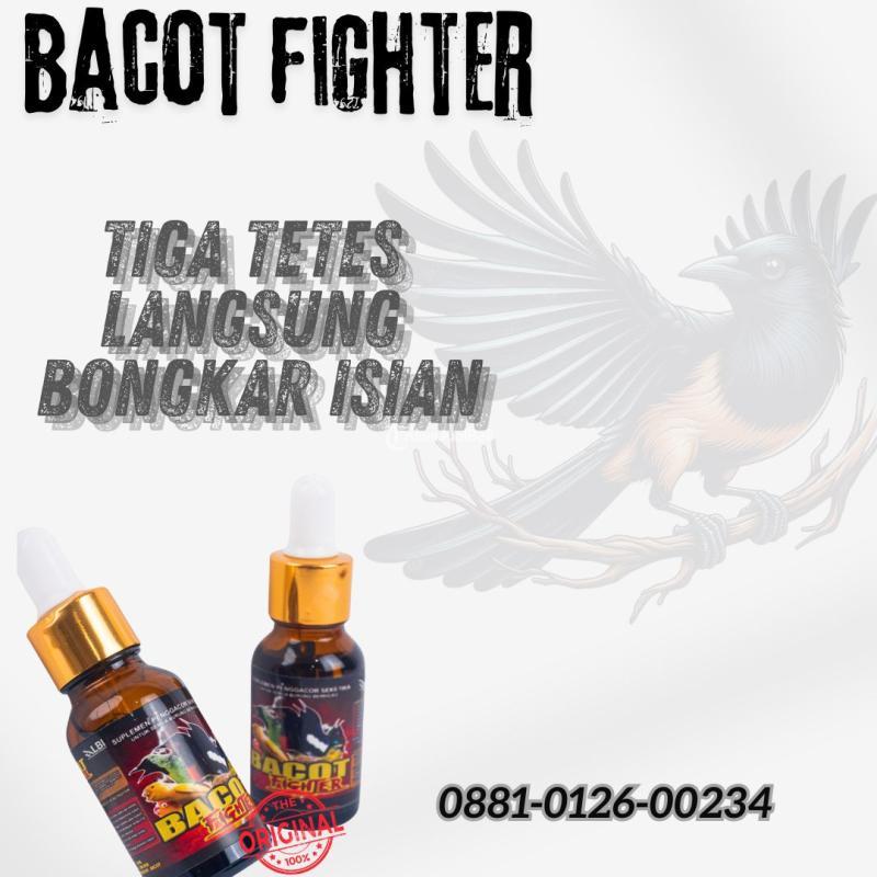 Vitamin Bururng Bacot Fighter - Serang