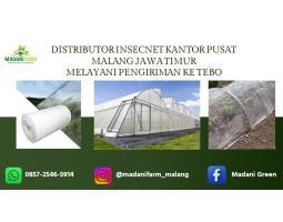 Kesempatan Emas Pabrik Pusat Agen Grosir Insecnet - Malang Kota