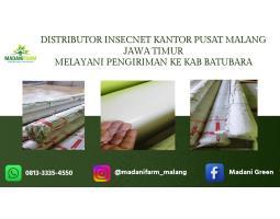  Agen Grosir Talang Gully - Batubara 