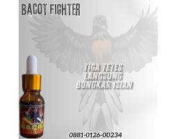 Vitamin Burung Bacot Fighter - Serang