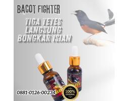 Vitamin Burung Bacot Fighter - Serang