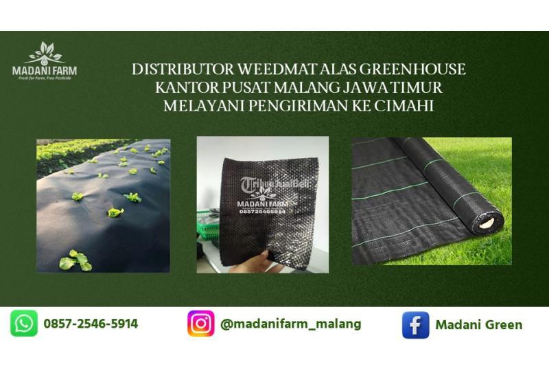 Pabrik Pusat Agen GrosirWeedmat - Malang