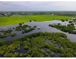 Jasa Drone Profesional di Palangka Raya Pilot Drone Berlisensi - Palangka Raya 