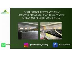 Super Deal Pabrik Pusat Agen Grosir Lakban UV - Nias