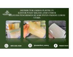 Grosir Lakban UV - Padang Lawas Utara