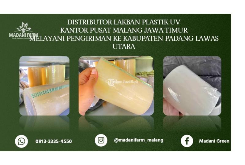 Grosir Lakban UV - Padang Lawas Utara