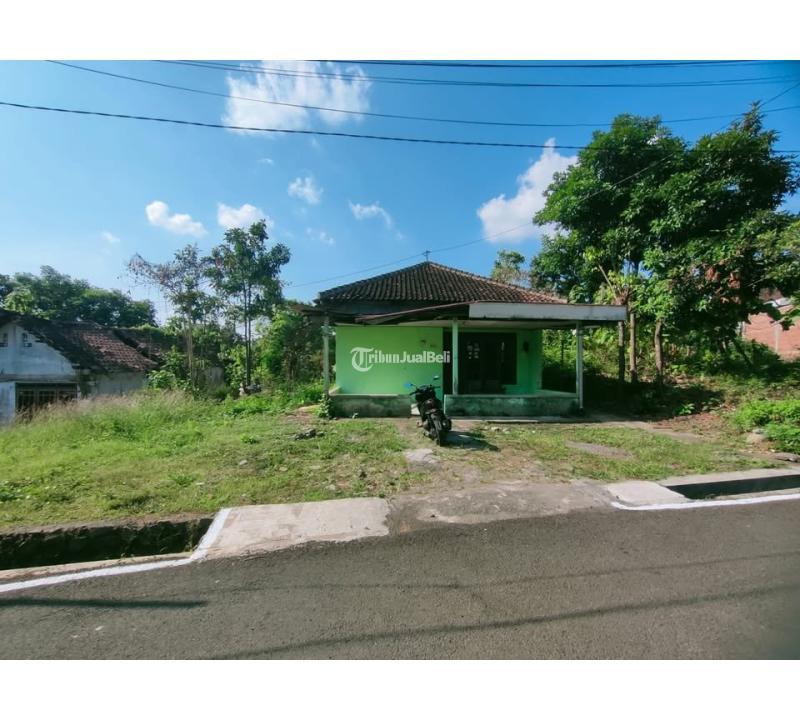 Jual Tanah 465 m2 Dekat Kampus Undip Tembalang - Semarang Kota