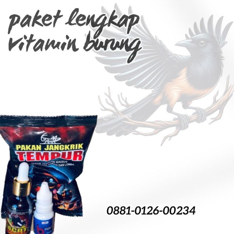 Paket Lengkap Vitamin Burung - Serang