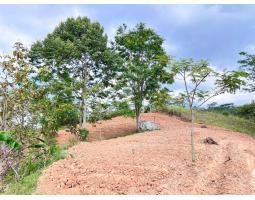 Dijual Tanah, Luas 8000m2, Shm, Kawasan Wisata, View Perbukitan, Cocok Untuk Kebun Buah - Karanganyar