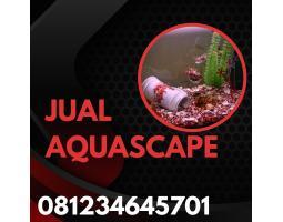 Jual Aquascape Aquarium, Aquascape Batu, Aquascape Mini - Malang