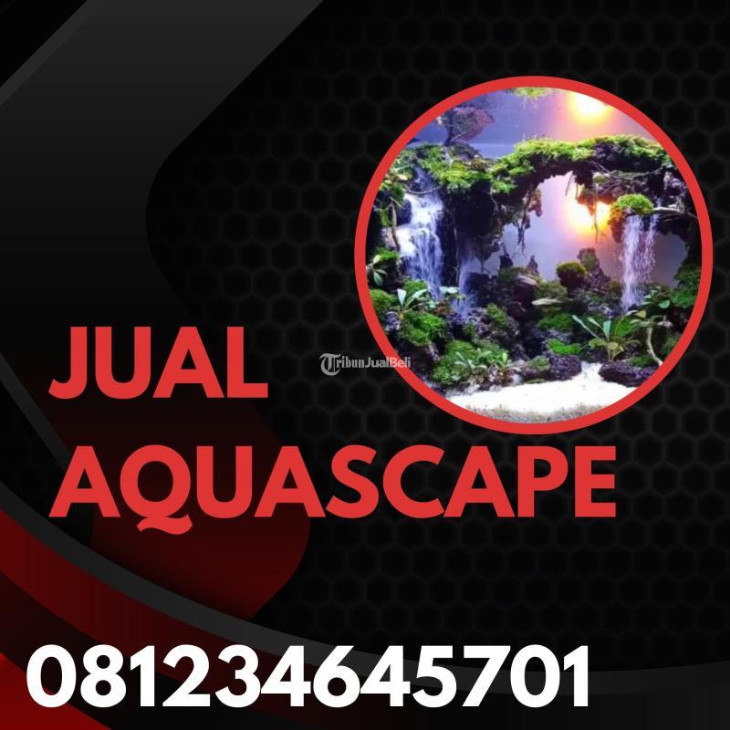 Toko Aquascape Cupang Mini - Malang