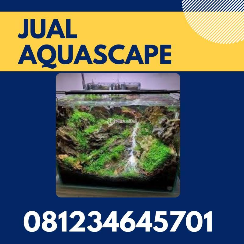 Toko Aquascape Hutan Pinus - Malang
