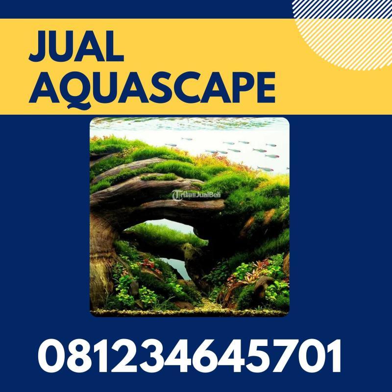 Toko Aquascape Hutan Pinus - Malang