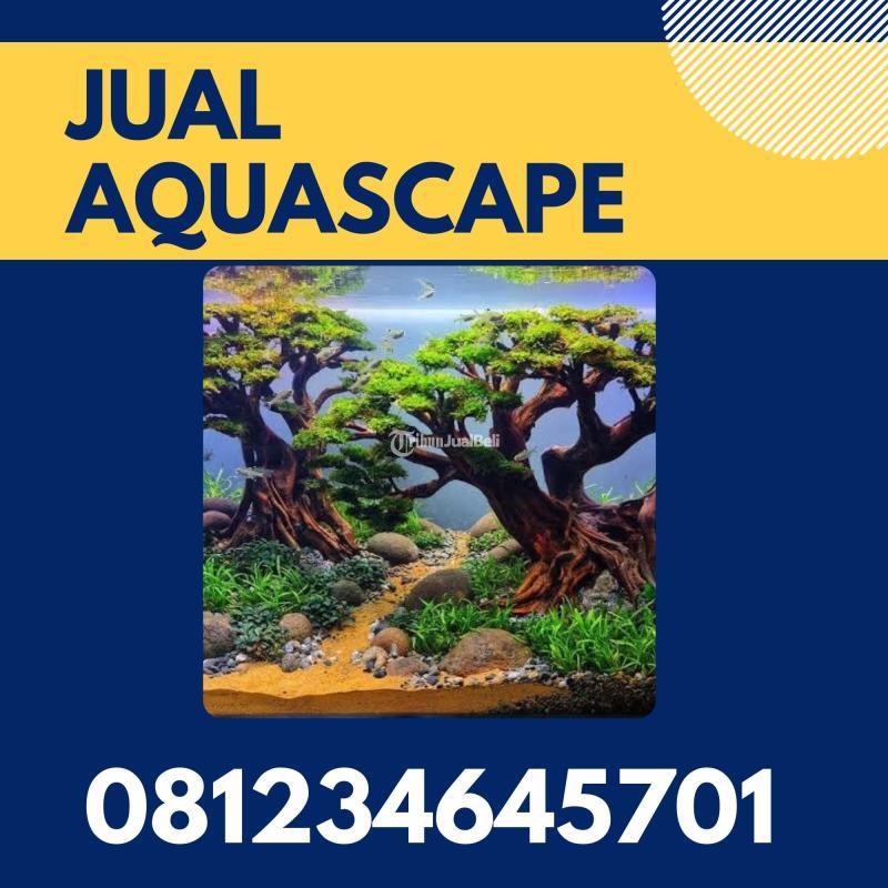 Toko Aquascape Hutan Pinus - Malang