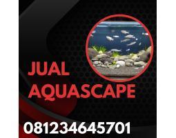 Jual Aquascape Terlengkap - Malang